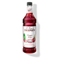 Monin Dragon Fruit 1L