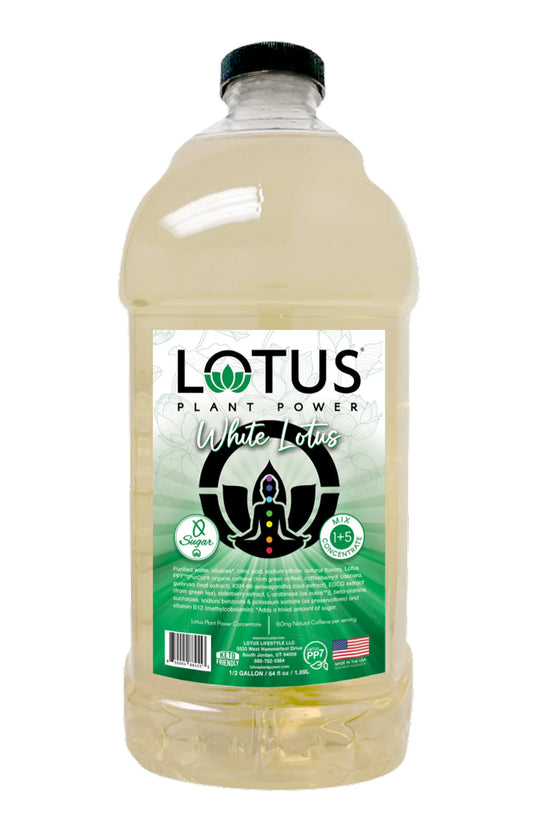 Lotus Plant Energy - White Zero Sugar
